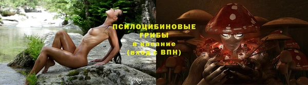 apvp Инта
