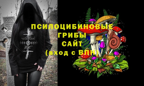 apvp Инта