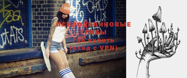 apvp Инта