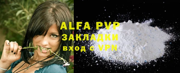 apvp Инта