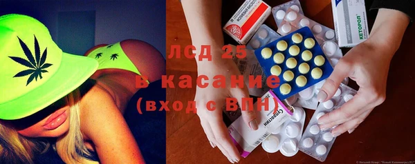 apvp Инта