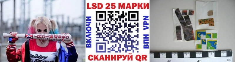 Купить закладки  Котельнич  Марки N-bome 1,5мг 