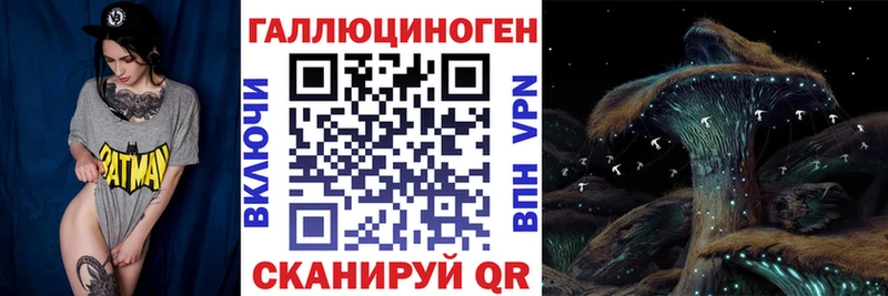 Купить закладки  Котельнич  Псилоцибиновые грибы ЛСД 